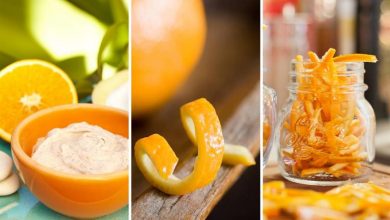البرتقال