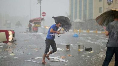 المدارية