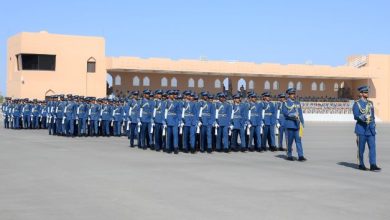 سلاح الجو السلطاني