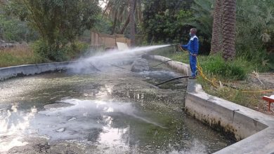 بلدية مسقط