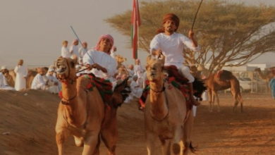 مهرجان العرضة للهجن