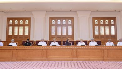 اقتصادية الدولة