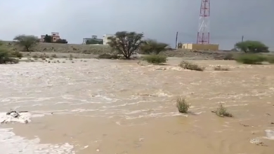 امطار